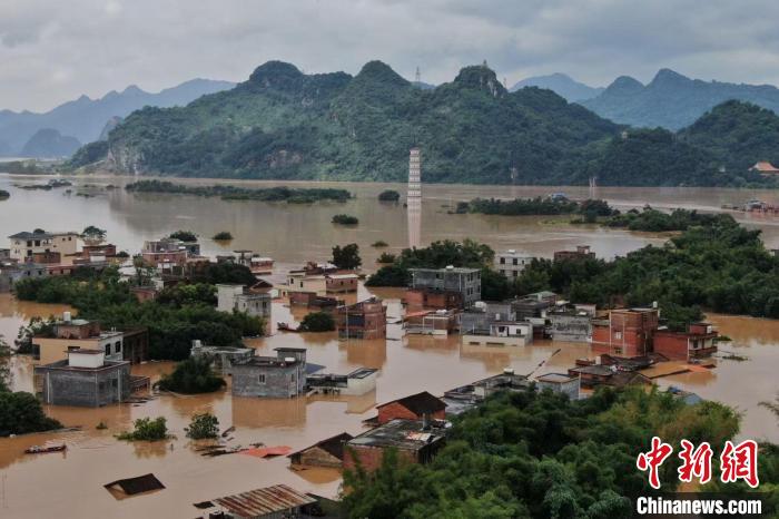 暴雨致洪水淹没了清远英德部分地区。　陈楚红 摄