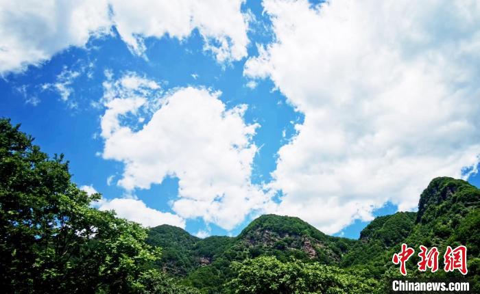 麻庵河站地处小陇山麻庵林场而得名，图为麻庵林场。　艾庆龙 摄