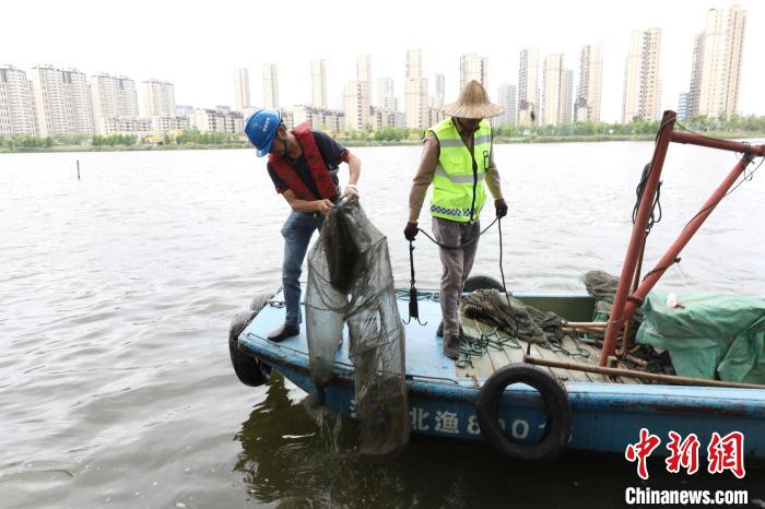 护渔人收起地笼网。　卓璇供图