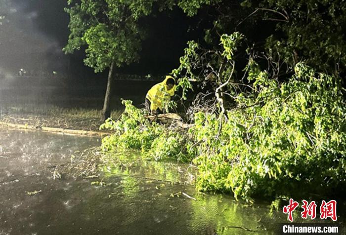 睢河中队交警风雨中紧急处理倾倒的树木。　睢宁交警供图