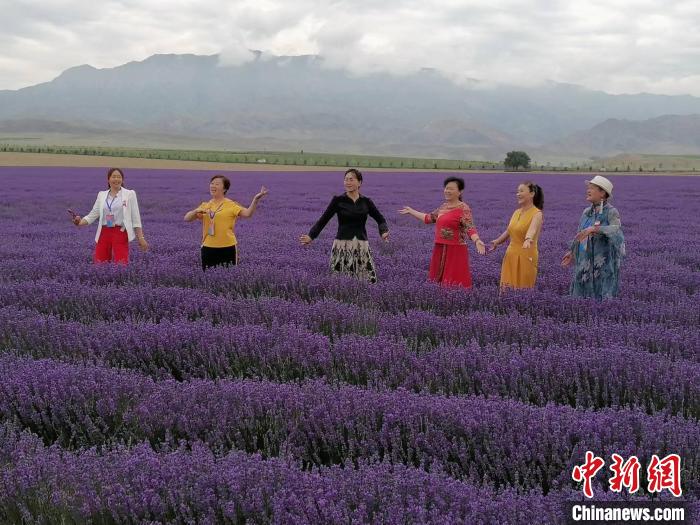 伊犁州伊宁县境内的天山花海景区2万余亩薰衣草花盛开，香飘田野。　赵善泽 摄