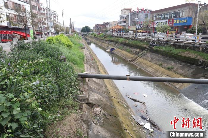 广州从化：受龙卷风影响区域生产生活已恢复正常 邝健华 摄