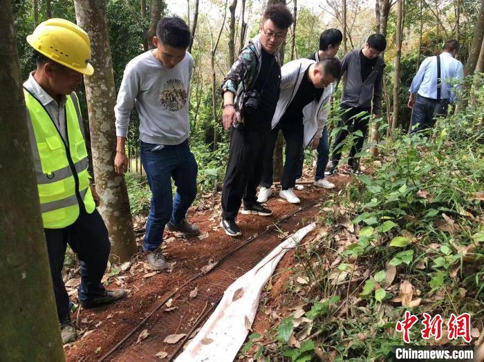 图为工作人员在海南热带雨林国家公园霸王岭片区关键点位铺设振动光纤。　杨先珊供图