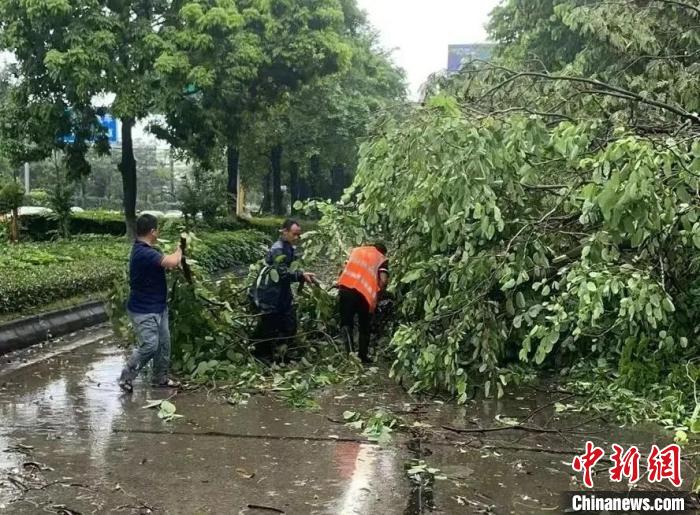 工作人员清理倒伏的树木 南海区大沥镇政府 供图