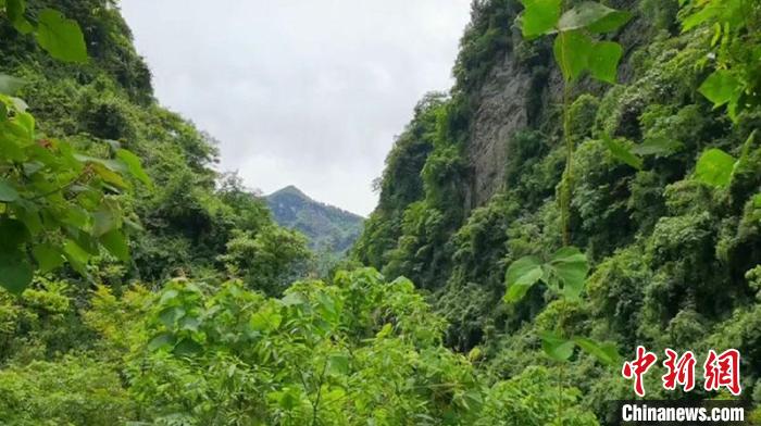 图为游文奎“巡河”路上的如画风景。　彭国威 摄