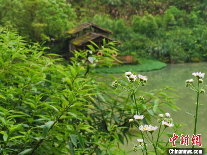 图为雨后的重庆市彭水苗族土家族自治县乔梓乡长寿村。　彭国威 摄