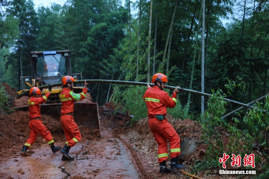 图为6月7日，福建森林消防指战员在长汀县处理塌方的树木。 中新社发 李袁辉 摄