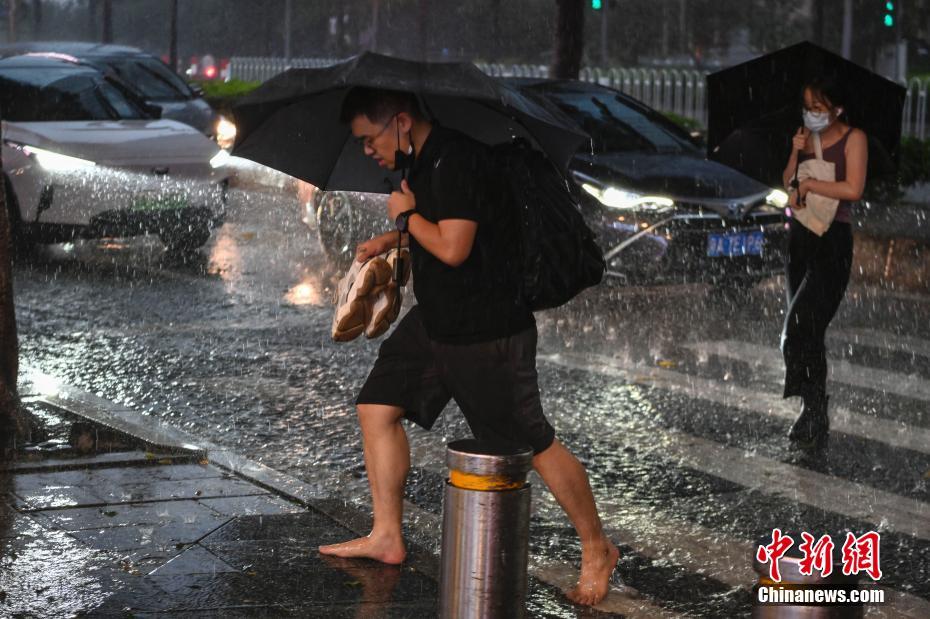 6月15日，广东省广州市，市民在雨中出行。当日，广州受强降雨云团影响，出现强降雨、短时大风天气，多区发布暴雨预警。 中新社记者 陈骥旻 摄 