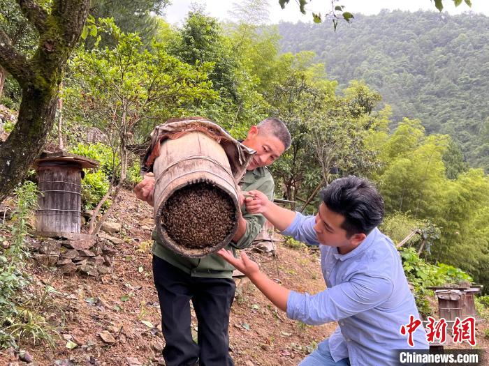 汪佳省与村民探讨中蜂养殖技术。　潘成 摄