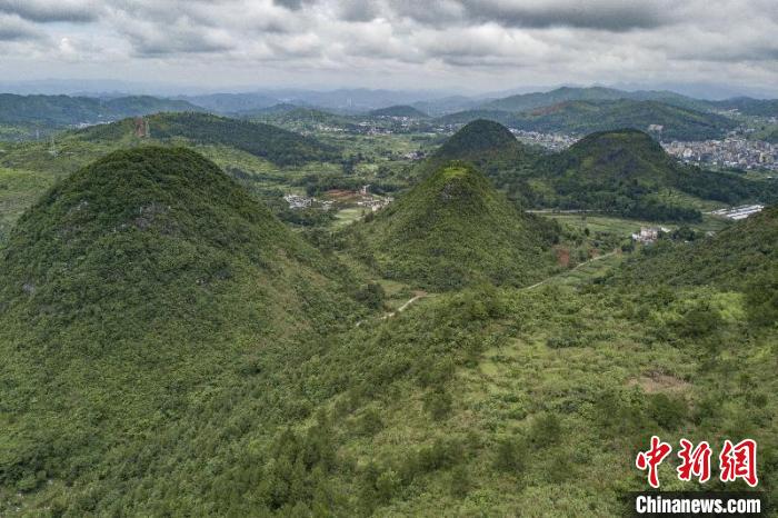 乐昌原来的石漠化荒山经过生态修复后变得郁郁葱葱 广东省林业局 供图