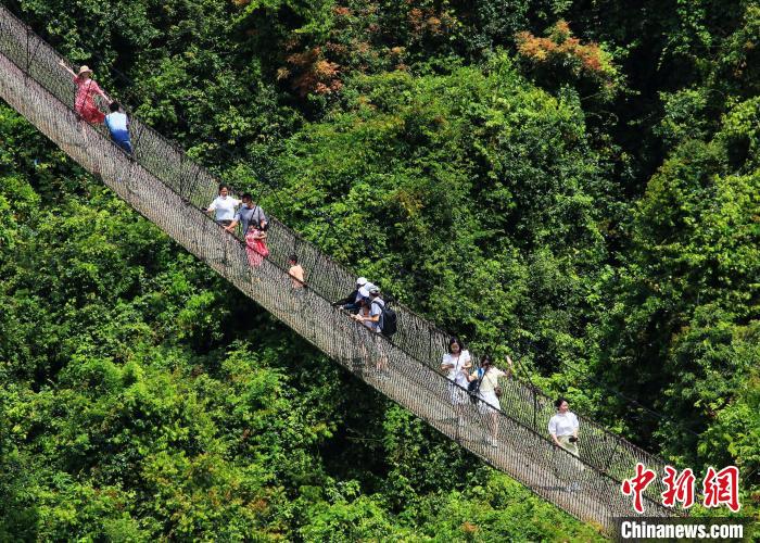 亚龙湾热带天堂森林旅游区，游客走过景区内的“过江龙”索桥。　黄庆优 摄