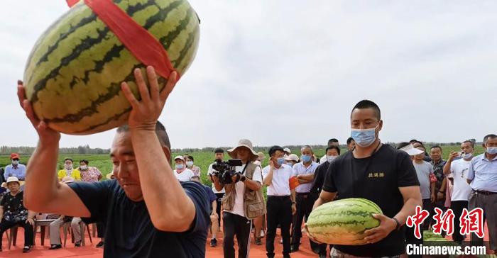 西瓜搬运吸引广泛参与。　齐琳洁 摄