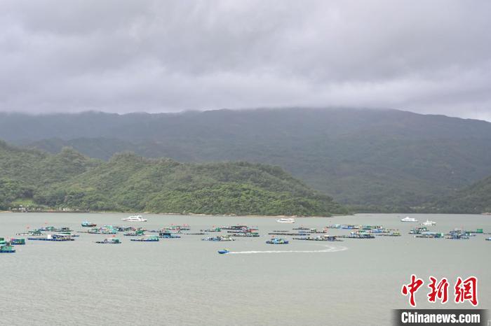 沙头角海 陈骥旻 摄