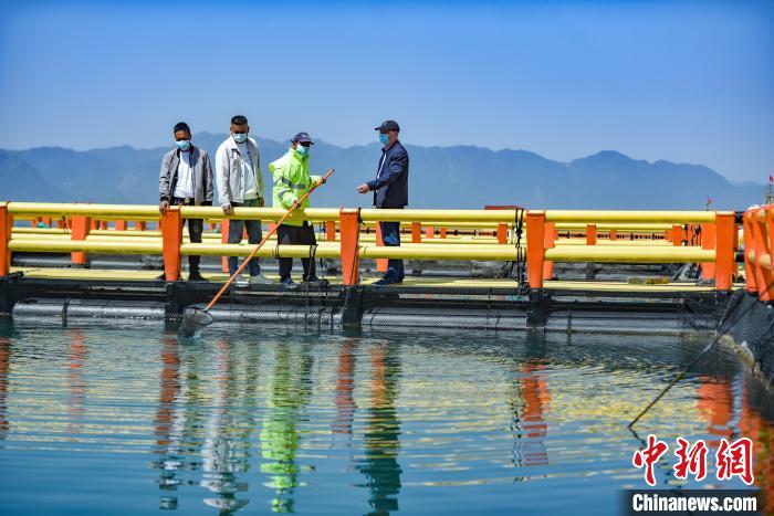 蕉城区三都镇农村党支部领办合作社建设经济联建渔排。　蕉城区融媒体中心 供图