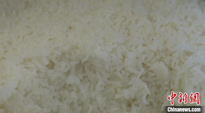 用“巨型稻”煮熟的米饭。　建德市委宣传部供图