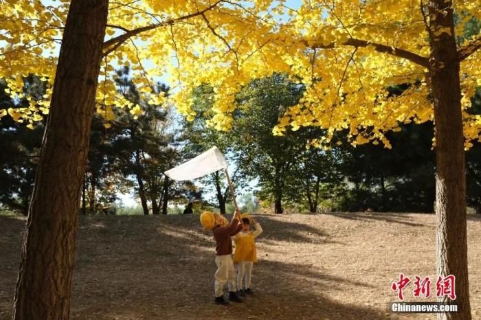 孩子们在公园里“收藏”着秋天的气息。

