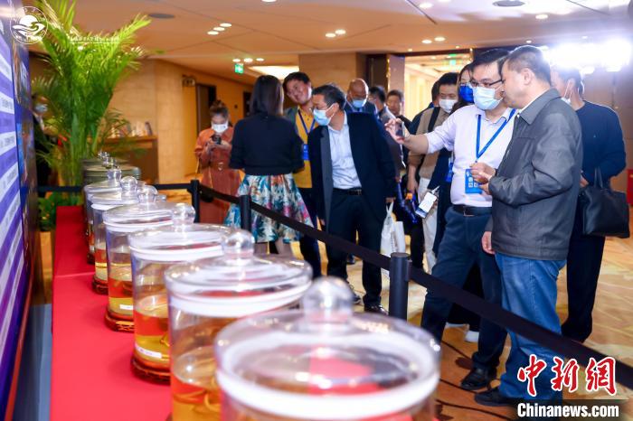 上海海洋大学第十六届蟹文化节暨2022年“王宝和杯”全国河蟹大赛现场。　上海海洋大学供图