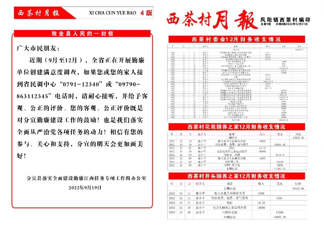 凤阳镇十二月份村级月报出炉