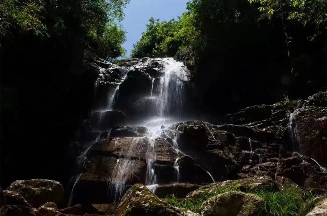 从心出发，来衢州衢江赴一场乡村山水之约