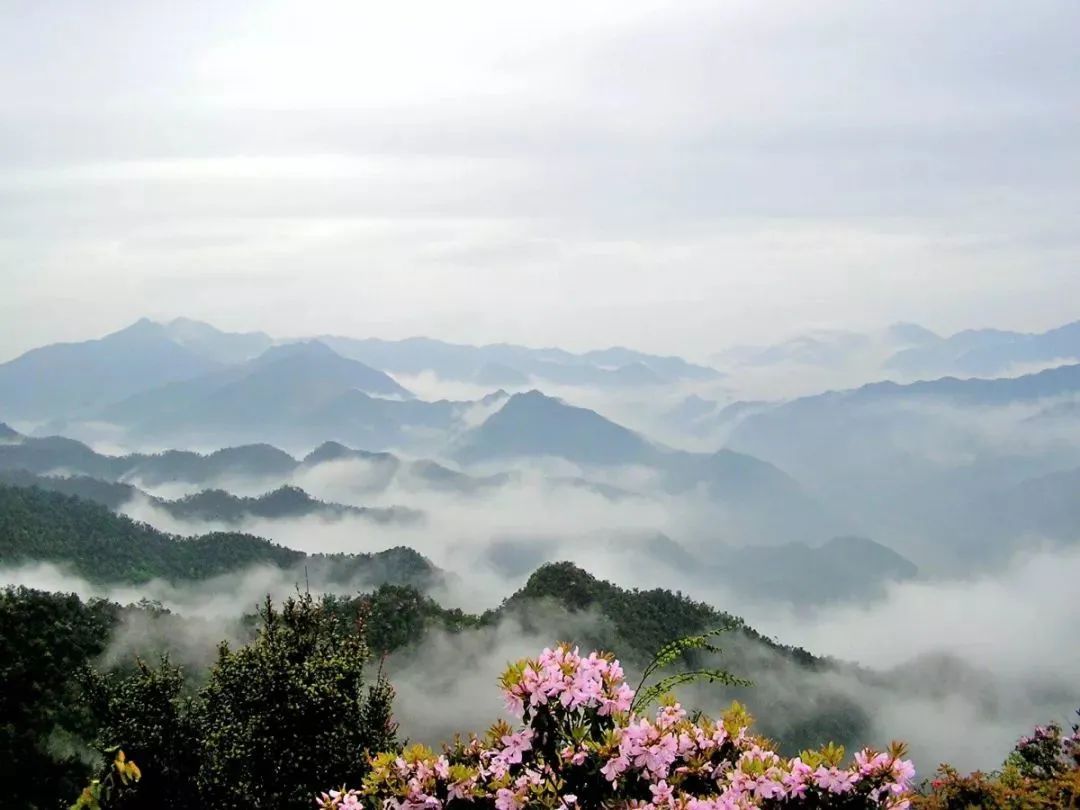 最想去的地方丨宋韵流长，古今辉映 从这30处细节读懂衢州常山