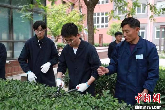 图为学生参与劳动课堂。 北京市教委供图 图为学生参与劳动课堂。 北京市教委供图