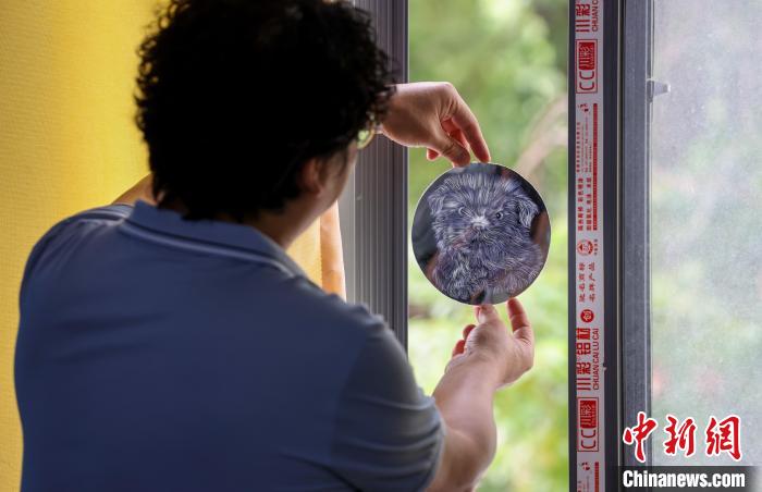 图为画家盛焰在镜子上刻画的小狗活灵活现 张畅 摄 图为画家盛焰在镜子上刻画的小狗活灵活现 张畅 摄