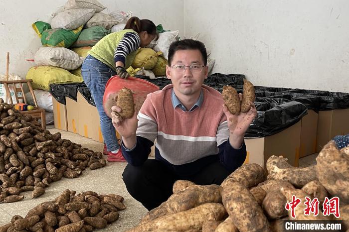张祥东展示家乡的“金疙瘩”。 下堡坪乡政府供图 张祥东展示家乡的“金疙瘩”。 下堡坪乡政府供图