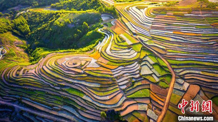 图为五莲县罗圈小流域梯田。 山东省水利厅 供图 图为五莲县罗圈小流域梯田。 山东省水利厅 供图