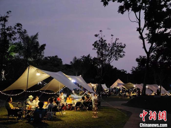 5月20日,在海口五源河国家湿地公园,数十个家庭在这里参加一场湿地科普和露营会。 海口市湿地保护管理中心供图 5月20日,在海口五源河国家湿地公园,数十个家庭在这里参加一场湿地科普和露营会。 海口市湿地保护管理中心供图