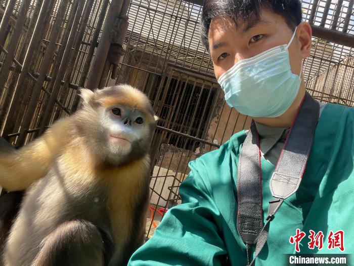 图为杨伟与黔金丝猴的自拍照。 受访者供图 图为杨伟与黔金丝猴的自拍照。 受访者供图