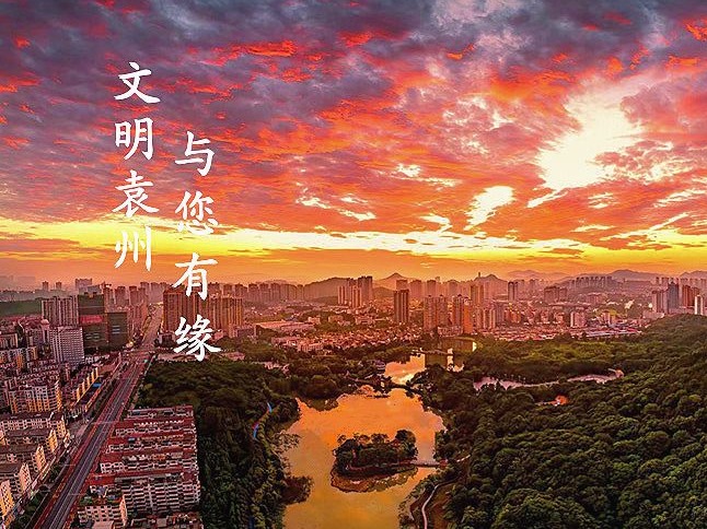 每日一景
