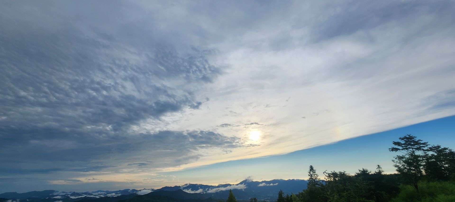 每日一景