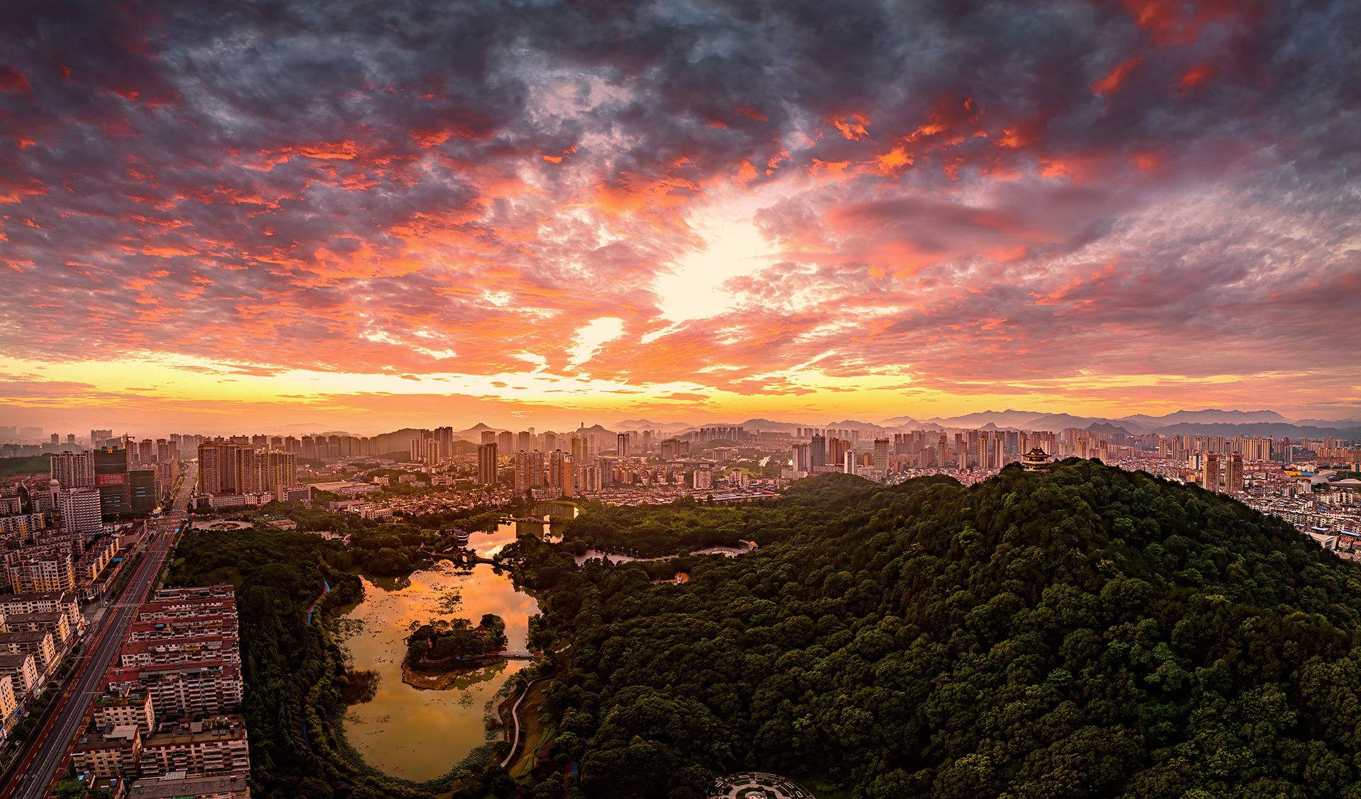 每日一景