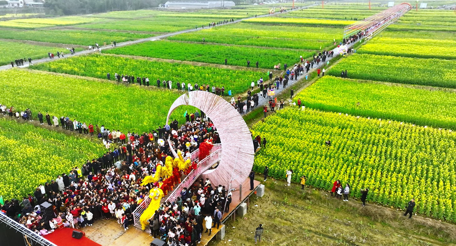 油菜花