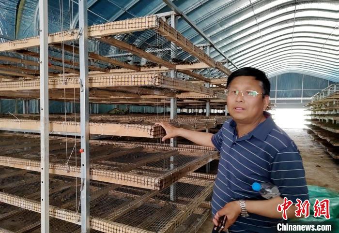 解忧故里蚕桑文化生态园负责人张建勇创新建设了智能化六层立体养蚕基地。 朱志庚 摄 解忧故里蚕桑文化生态园负责人张建勇创新建设了智能化六层立体养蚕基地。 朱志庚 摄