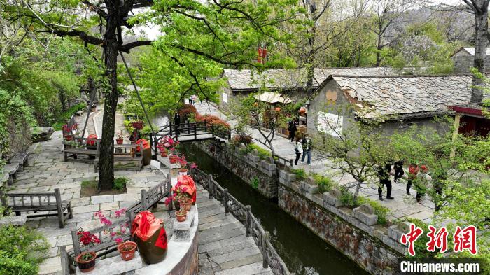 资料图:兰陵县压油沟景区内仿古的石头房、整齐的青石板路吸引游客参观。(无人机照片) 刘芳芳 摄 资料图:兰陵县压油沟景区内仿古的石头房、整齐的青石板路吸引游客参观。(无人机照片) 刘芳芳 摄