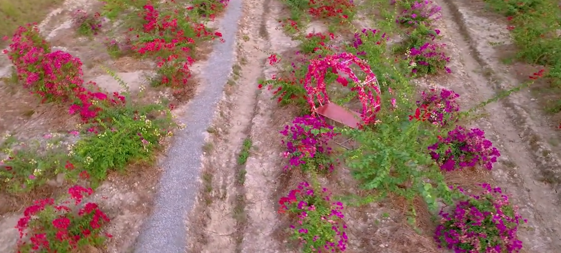 花