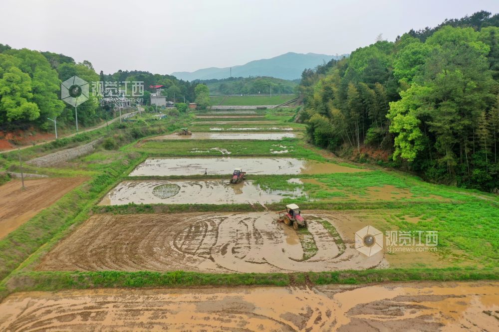 江西芦溪：春耕时节农事忙