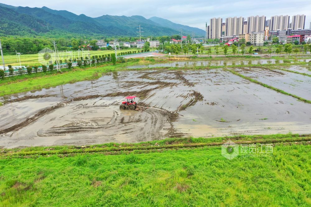 江西芦溪：谷雨时节农事忙