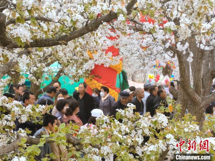 图为前来赏花的游客。　张海雯 摄