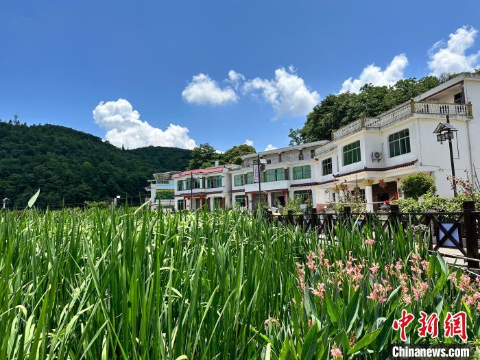 图为黄家寨的田园风光。 袁超 摄 图为黄家寨的田园风光。 袁超 摄