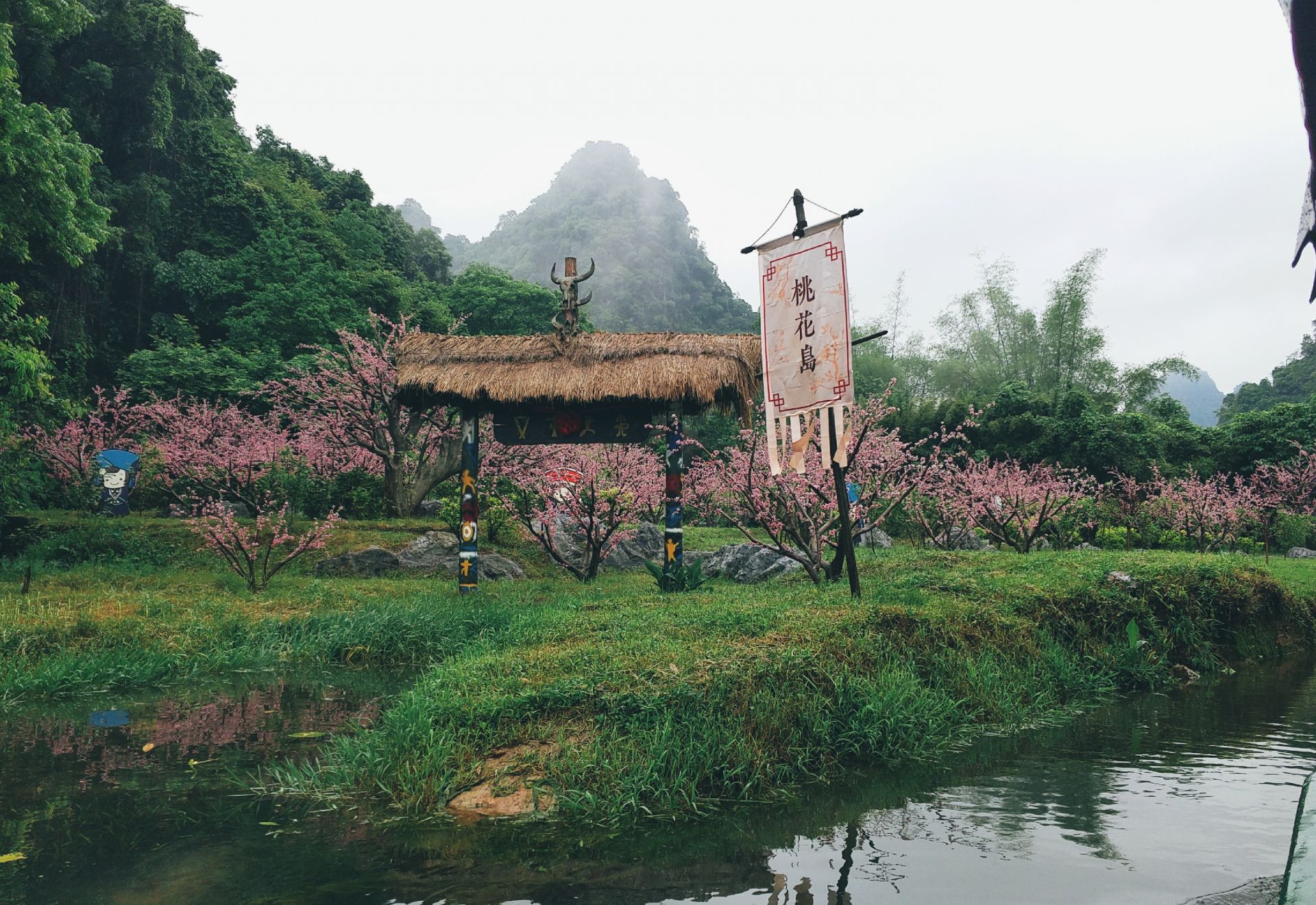 树