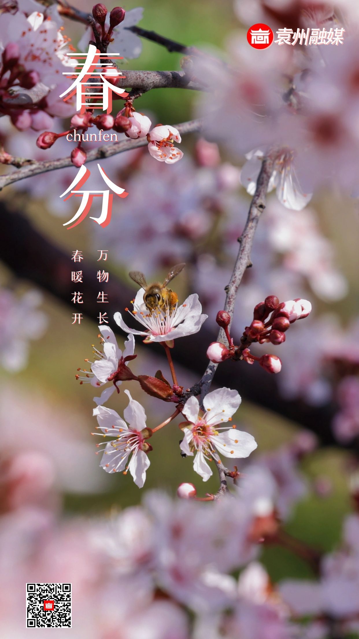 春分
