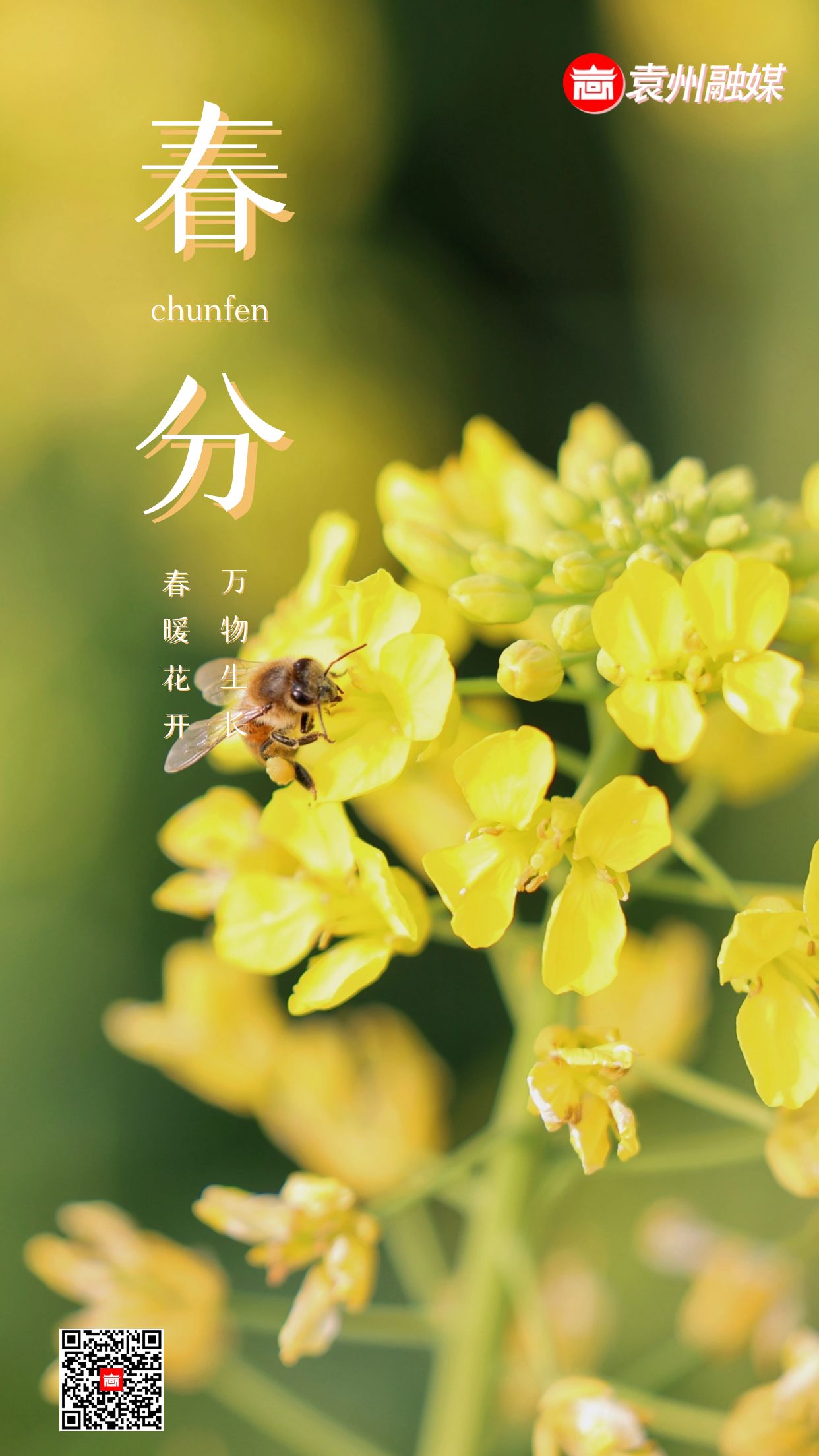 春分