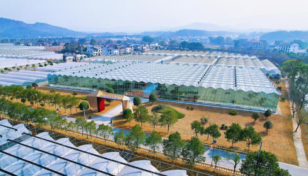 QQ截图20240108094335.jpg