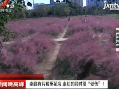 新闻晚高峰20181101