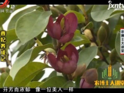农博士大讲堂20181029 香妃养成记