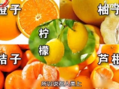 天天健康20181209