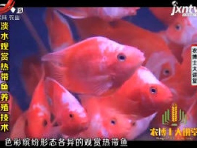 农博士大讲堂20181008 淡水观赏热带鱼养殖技术