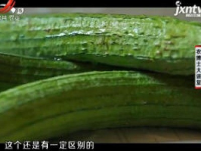 农博士大讲堂20181016 丝瓜春提早大棚栽培技术